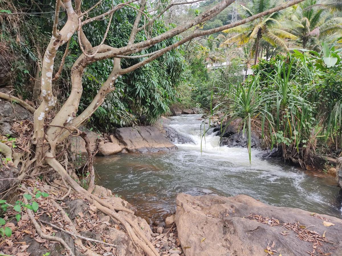Riverbench Homestay Munnar, Anaviratty Экстерьер фото