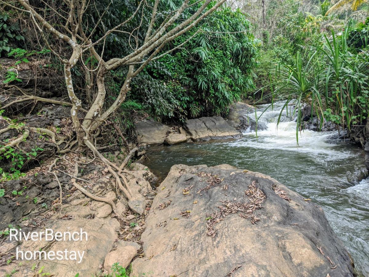 Riverbench Homestay Munnar, Anaviratty Экстерьер фото