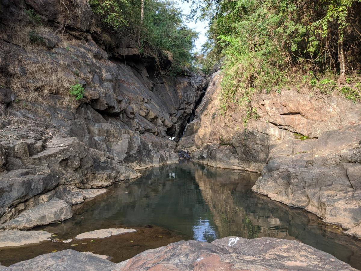 Riverbench Homestay Munnar, Anaviratty Экстерьер фото