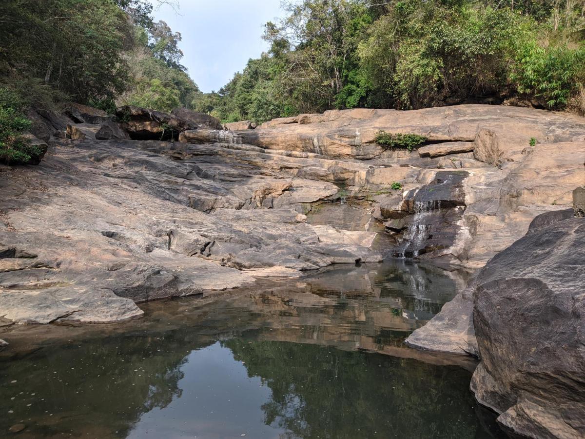 Riverbench Homestay Munnar, Anaviratty Экстерьер фото