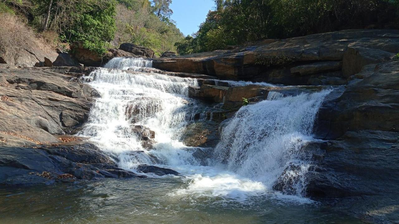 Riverbench Homestay Munnar, Anaviratty Экстерьер фото