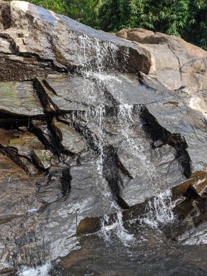 Riverbench Homestay Munnar, Anaviratty Экстерьер фото