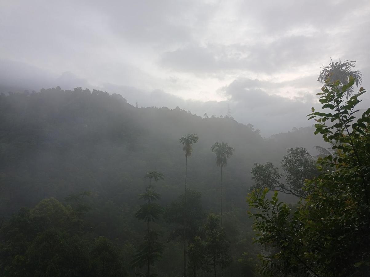 Riverbench Homestay Munnar, Anaviratty Экстерьер фото