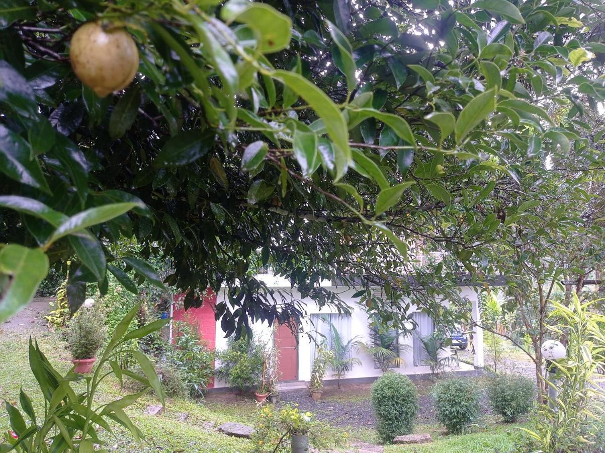 Riverbench Homestay Munnar, Anaviratty Экстерьер фото
