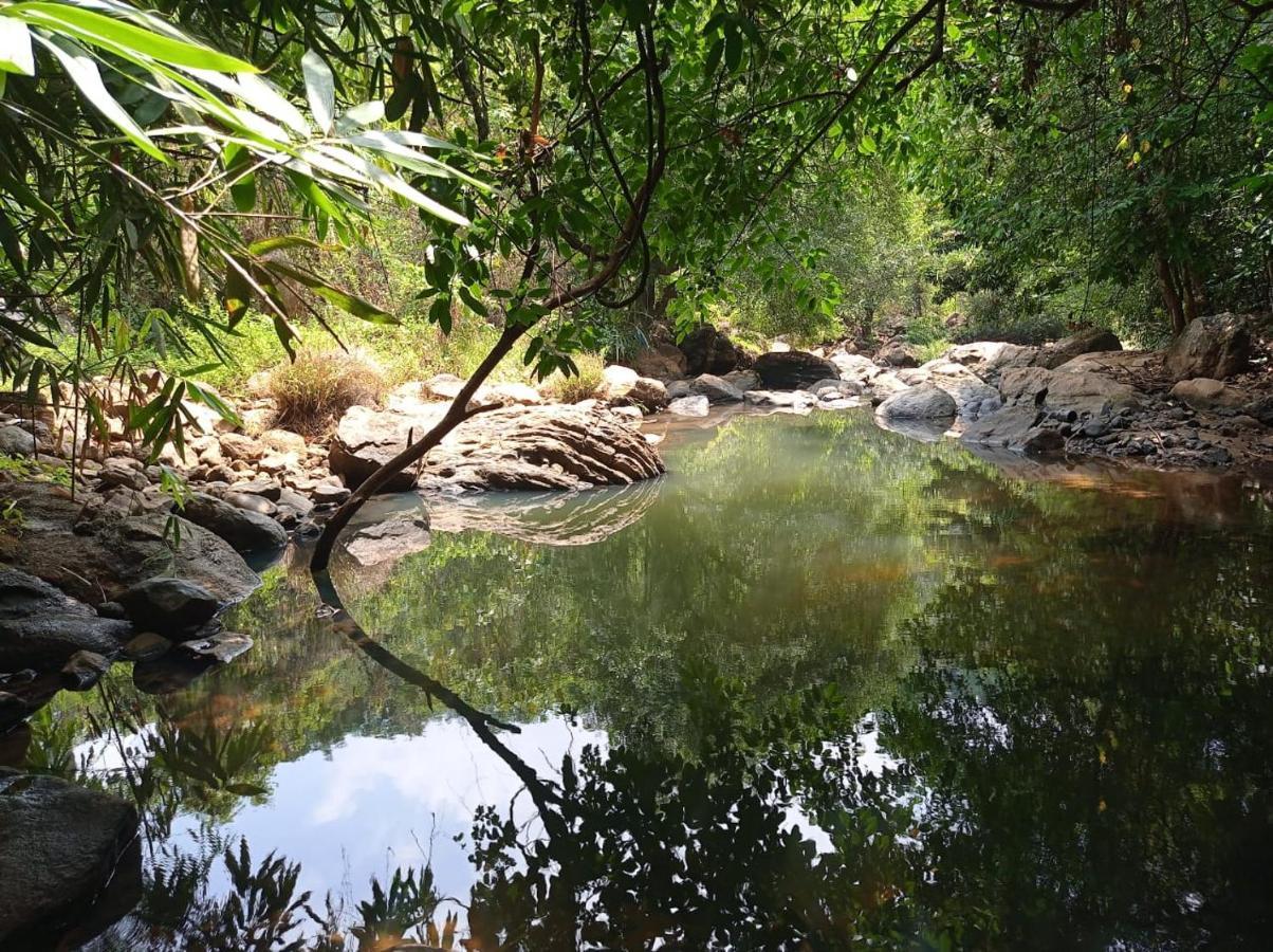 Riverbench Homestay Munnar, Anaviratty Экстерьер фото