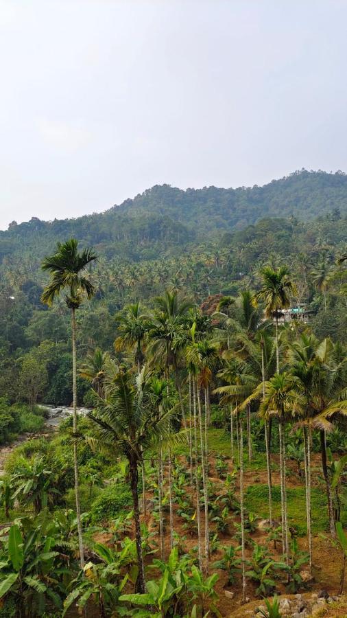 Riverbench Homestay Munnar, Anaviratty Экстерьер фото