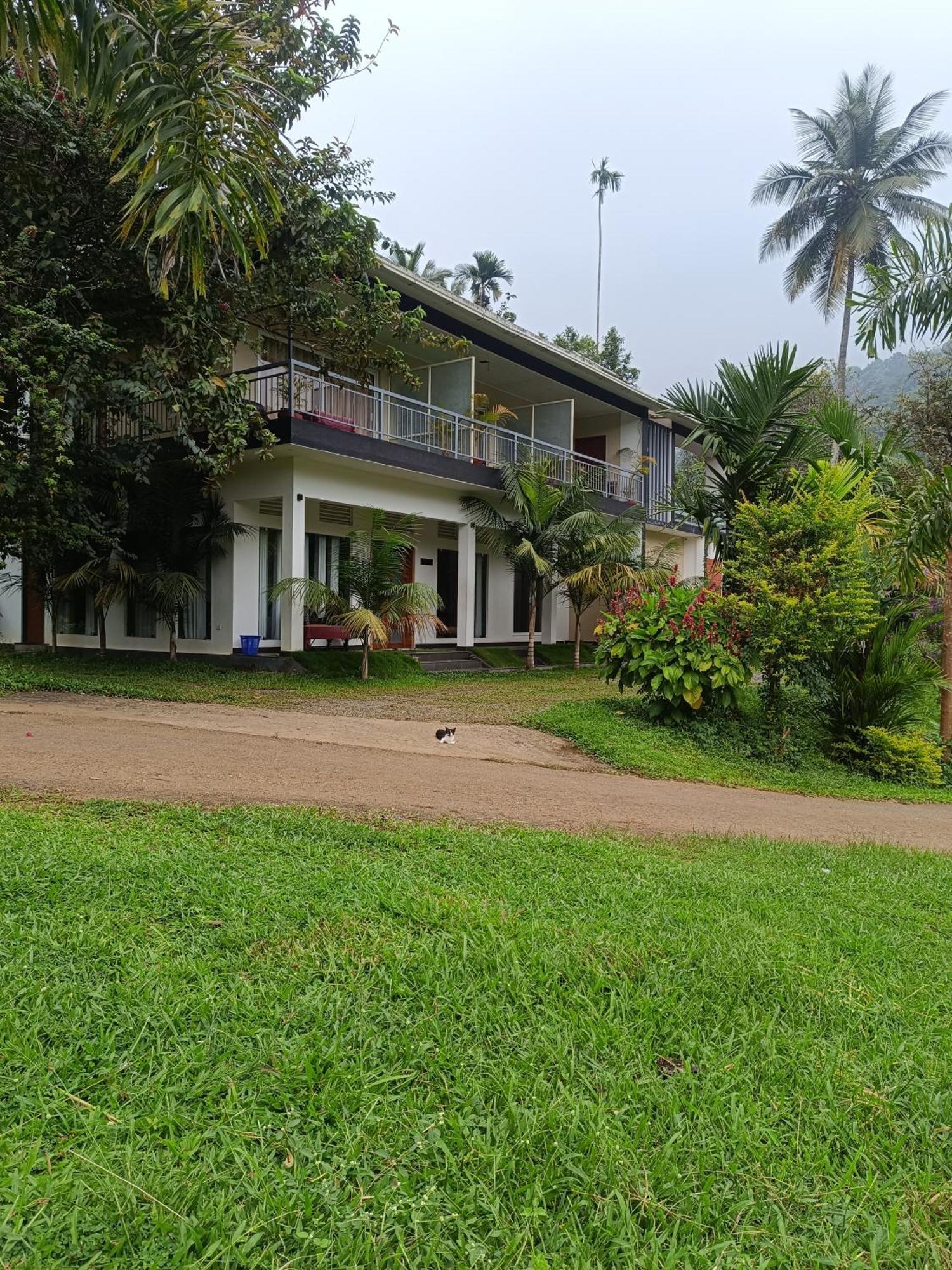 Riverbench Homestay Munnar, Anaviratty Экстерьер фото