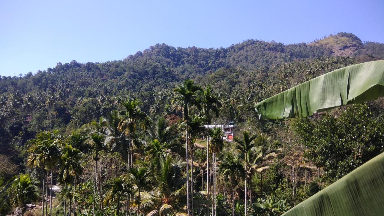 Riverbench Homestay Munnar, Anaviratty Экстерьер фото