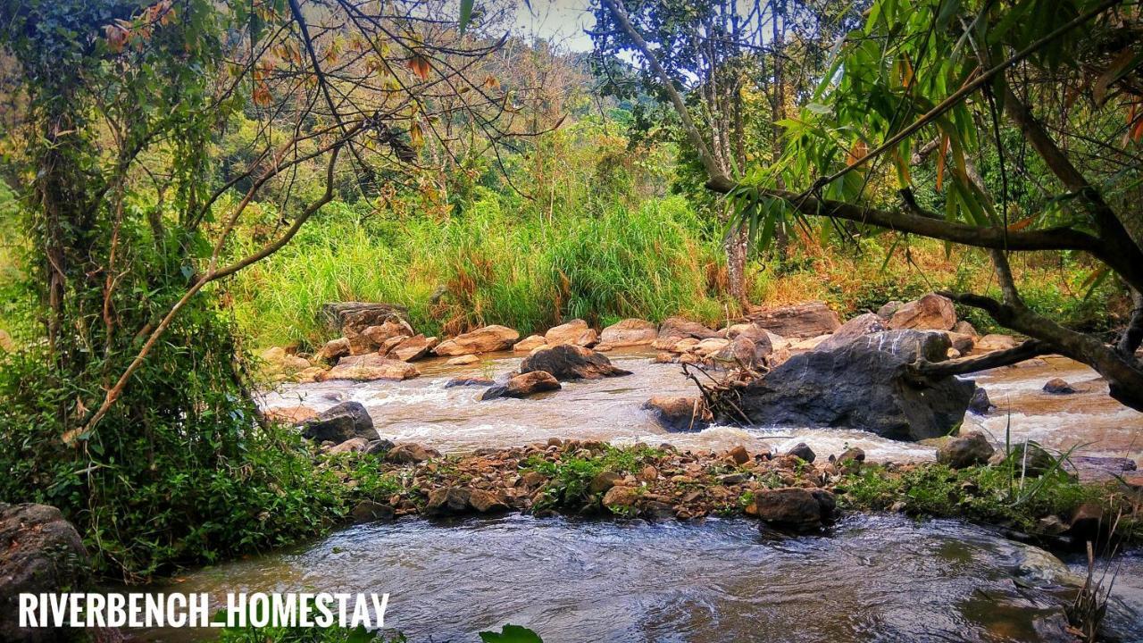 Riverbench Homestay Munnar, Anaviratty Экстерьер фото